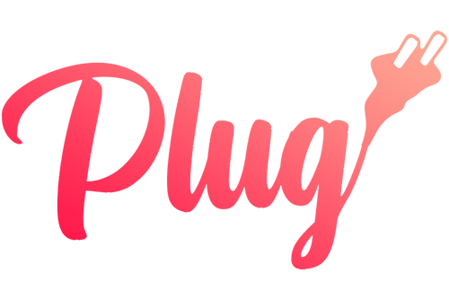 VintedPlug